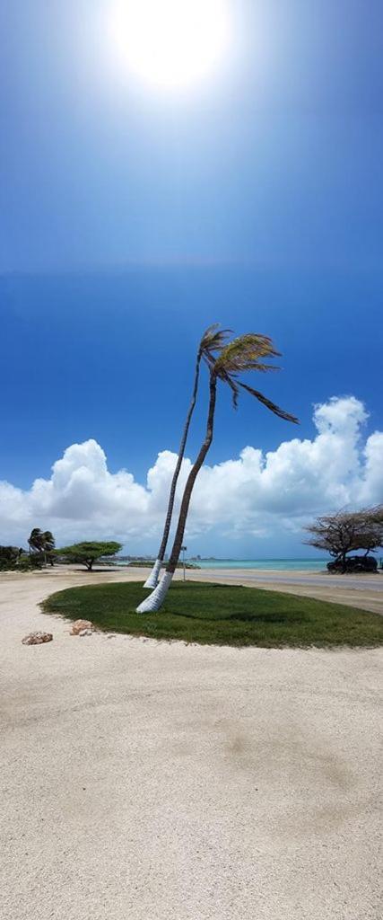 Aruba Beach Villas Palm Beach Luaran gambar