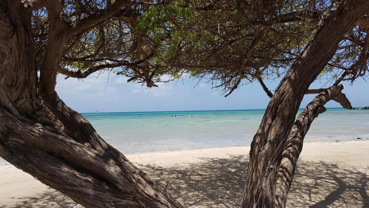 Aruba Beach Villas Palm Beach Luaran gambar